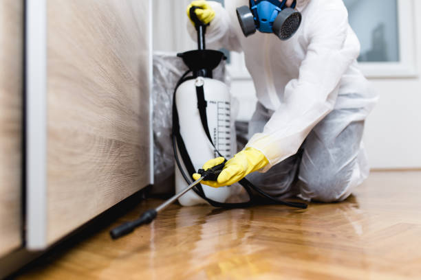 Best Bed Bug Extermination  in Trowbridge Park, MI