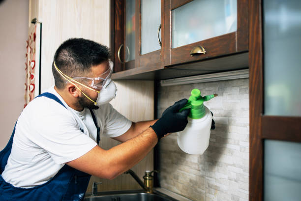 Best Local Pest Control Services  in Trowbridge Park, MI