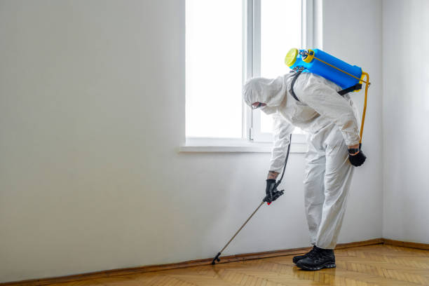 Professional Pest Control in Trowbridge Park, MI