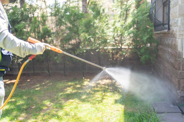 Best Pest Prevention Services  in Trowbridge Park, MI