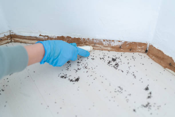 Best Wildlife Control Services  in Trowbridge Park, MI
